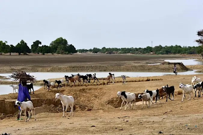 Niger: les enlèvements pour des rançons se multiplient autour de Diffa Niger: les enlèvements pour des rançons se multiplient autour de Diffa