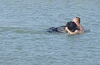 [Pics] What This Bear Did After He Was Saved From Drowning Is Priceless