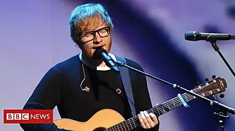 Sheeran's 'wild' pond to be investigated