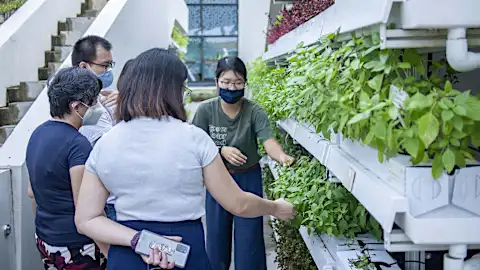 By 2030, the kai lan from your favourite coffee shop stall could be from Raffles City's rooftop