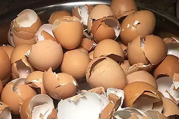 Οι άνθρωποι με πόνο στα γόνατα και στους γοφούς πρέπει να το διαβάσουν αυτό