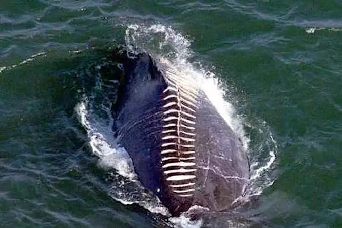 ドローンが撮影した不気味な写真40枚 ドローンが撮影した不気味な写真40枚