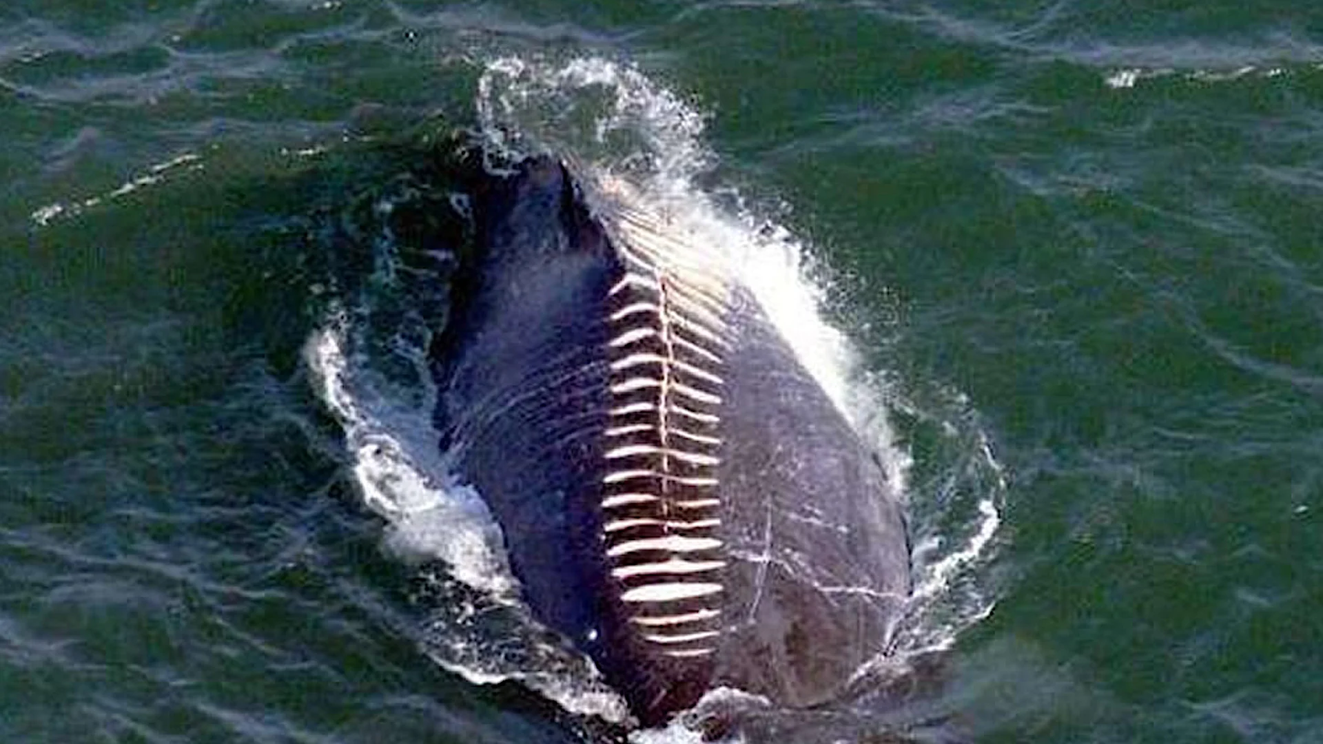 ドローンが撮影した不気味な写真40枚 ドローンが撮影した不気味な写真40枚