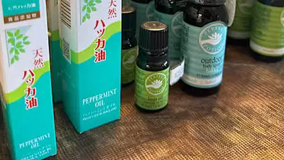 キャンプの虫対策はこれでバッチリ！【アイテム紹介編】