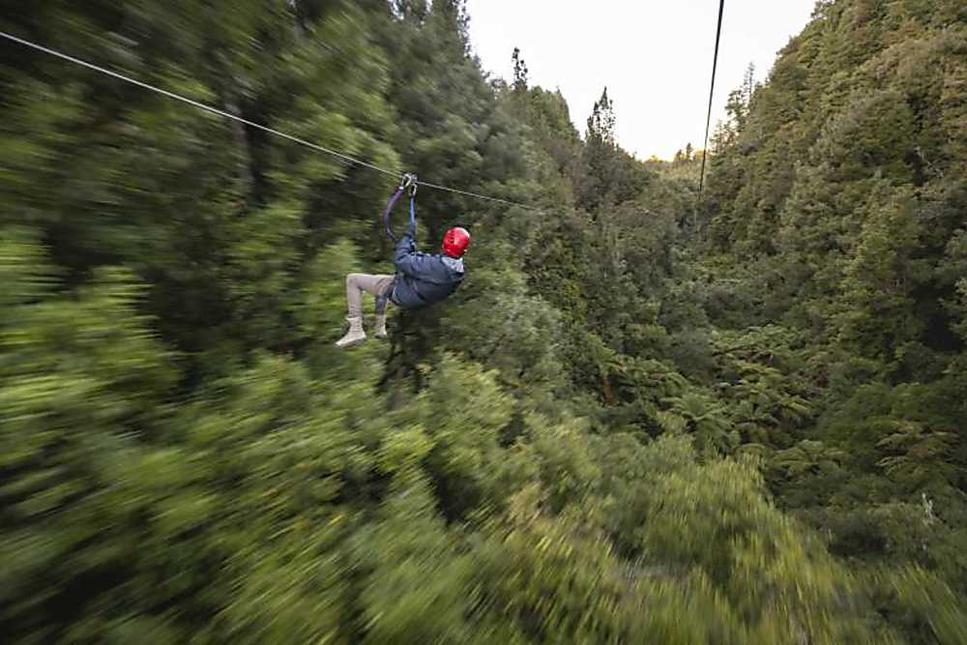 Gliding above lush forest: a great way to see things differently