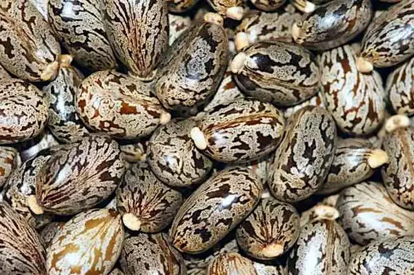 Τα άτομα με υψηλά επίπεδα σακχάρου στο αίμα πρέπει να το γνωρίζουν αυτό