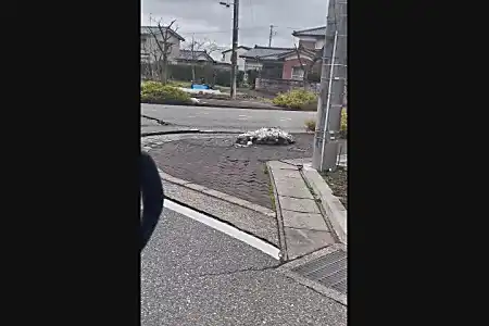 Giappone, video 'da film': terremoto sorprende auto in strada