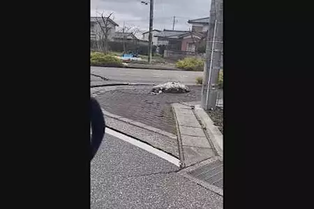 Giappone, video 'da film': terremoto sorprende auto in strada Giappone, video 'da film': terremoto sorprende auto in strada