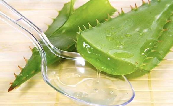 Primo trattamento snellente all'Aloe: non fa assimilare i grassi che mangi ed equilibra l'attività gastro-intestinale