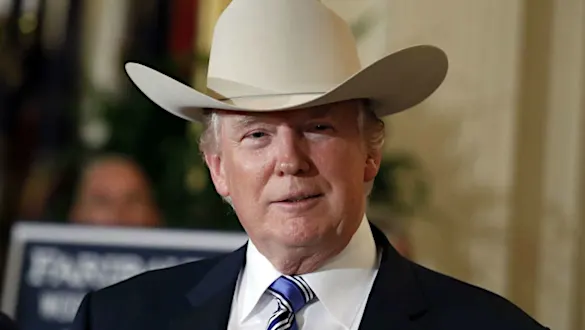 Pourquoi j'aime l'odieux Donald Trump Pourquoi j'aime l'odieux Donald Trump