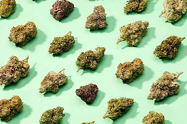 Find Your Favorite Weed Strains on Weedmaps