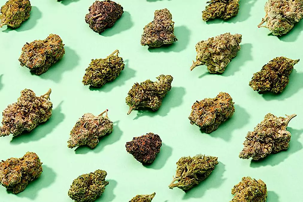 Find Your Favorite Weed Strains on Weedmaps