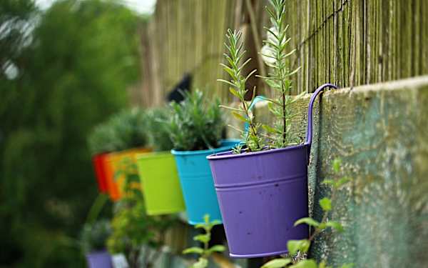 ¿Un jardín en tu balcón? Ideas para conseguirlo ¿Un jardín en tu balcón? Ideas para conseguirlo