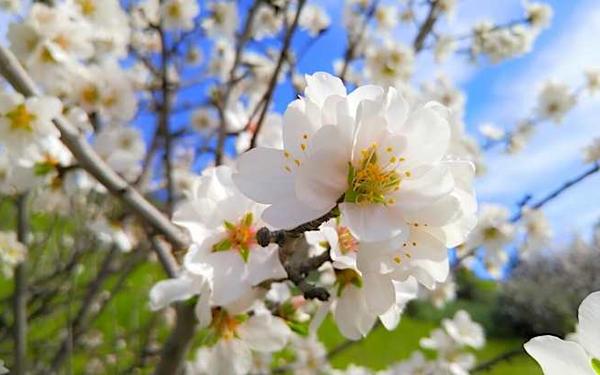 Refranes de la primavera: ¿hay que creérselos?