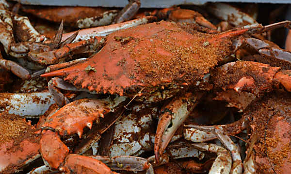 A seafood company pleaded guilty to passing off 183 tons of foreign crab meat as American blue crab