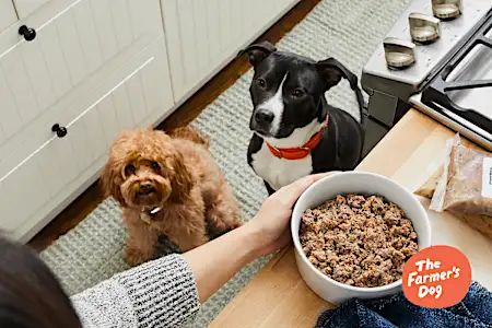 Why Dog Owners Are Ditching Kibble For This