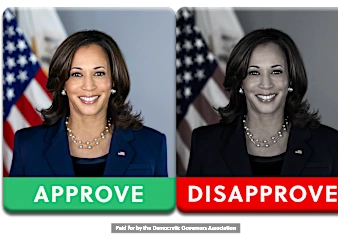 Do You Approve of President Biden and Vice President Harris?