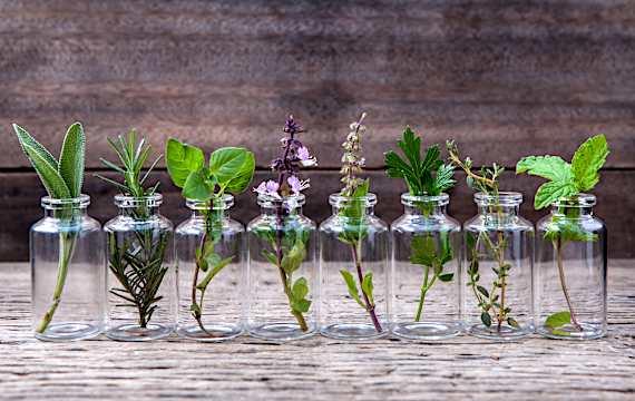 Le top 8 des huiles essentielles indispensables Le top 8 des huiles essentielles indispensables