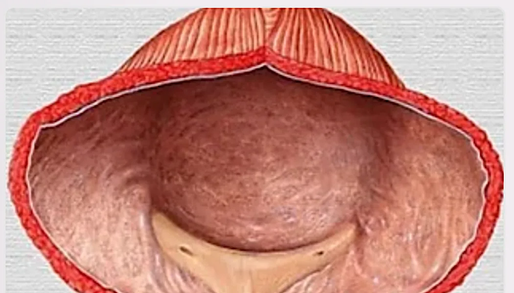 Urologist: Enlarged Prostate? Do This Immediately (Genius!)