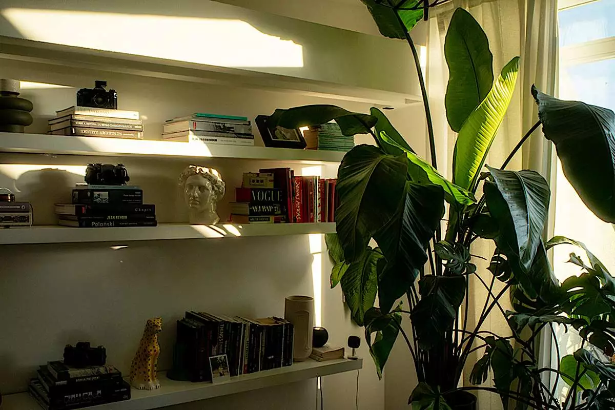 Diese zehn Klassiker der Weltliteratur sollten Sie gelesen haben