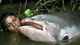 出会ったら最期。地球上で最も危険な生物とは