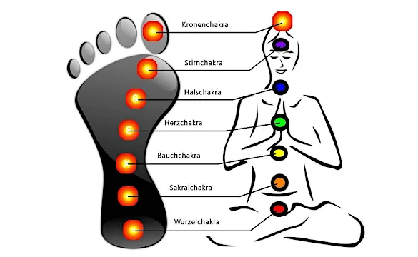 Is Your Body Contaminated By Toxins?