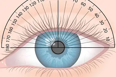 Optometrists έκπληκτοι από το Vision Discovery (ρολόι)