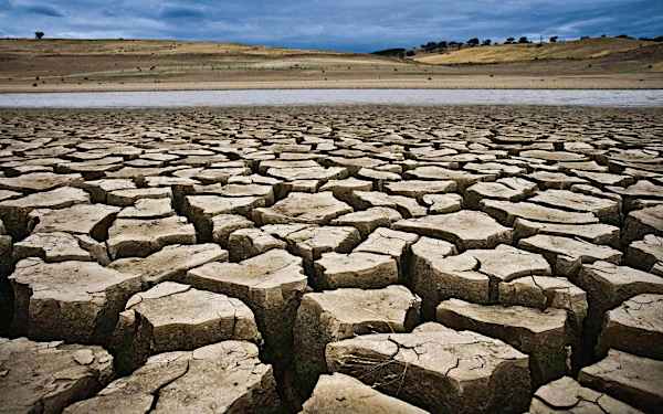 "No es un cambio climático más: estamos ante una crisis" "No es un cambio climático más: estamos ante una crisis"