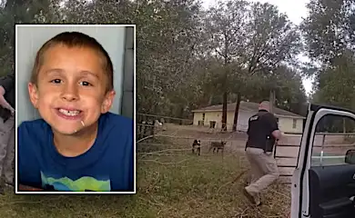 Florida boy, 8, 'maliciously mauled' to death by dogs he stopped to pet while out riding his bike: sheriff