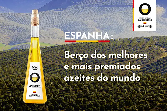 Azeites de Oliva da Espanha Os Mais Premiados do Mundo