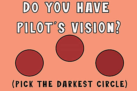Do You Have Pilot Vision?