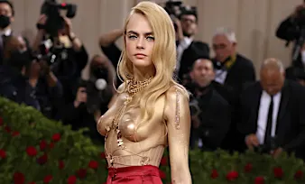 [Photos] Her Dress Was The Most Inappropriate On The Red Carpet