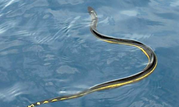 Warning Travelers, These Beaches Are Deemed The Most Unsafe