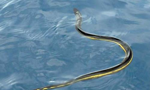 Warning Travelers, These Beaches Are Deemed The Most Unsafe