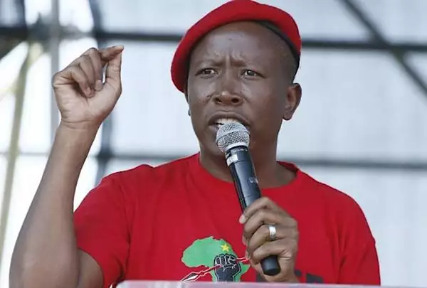 Malema refuses to give warning statement to Hawks in firearm discharge case Malema refuses to give warning statement to Hawks in firearm discharge case