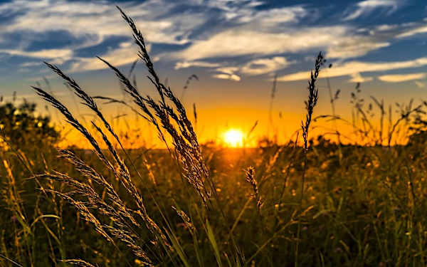 Las olas de calor serán cada vez más frecuentes e intensas