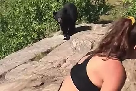 Una chica se encuentra con un oso y se gana el apodo de 'la reina de la calma'