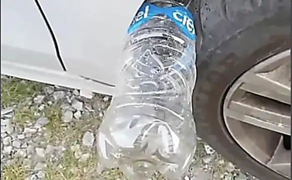 [Gallery] Always Put A Plastic Bottle On Your Tires When Parked, Here's Why
