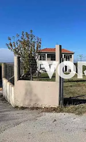 Θεσσαλονίκη: Στη φυλακή ο ιδιοκτήτης των σκύλων που κατασπάραξαν 50χρονη στη Νεοχωρούδα