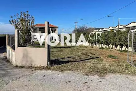 Θεσσαλονίκη: Στη φυλακή ο ιδιοκτήτης των σκύλων που κατασπάραξαν 50χρονη στη Νεοχωρούδα