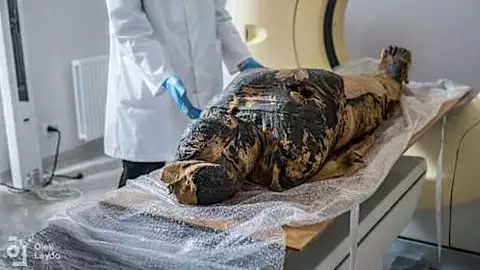 エジプトで妊婦ミイラ初発見｜全国のニュース