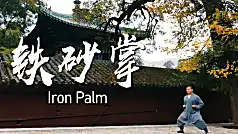 Shaolin kungfu: Iron Palm