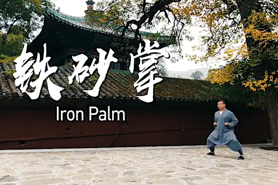 Shaolin kungfu: Iron Palm