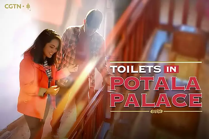 Why the toilets were never cleaned in Potala Palace