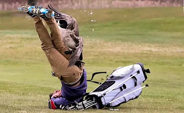 Este ganso hizo volar a jugador de golf y reafirmó su dominio sobre toda la humanidad