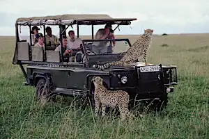 Luxury African Safaris Are So Cheap Now (Search For Deals)