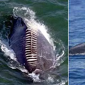 ドローンが撮影した不気味な写真40枚 ドローンが撮影した不気味な写真40枚