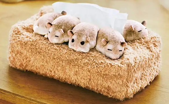 「ちょっとごめんね～。ティッシュ出すね」可愛すぎるハムスターのティッシュカバー！