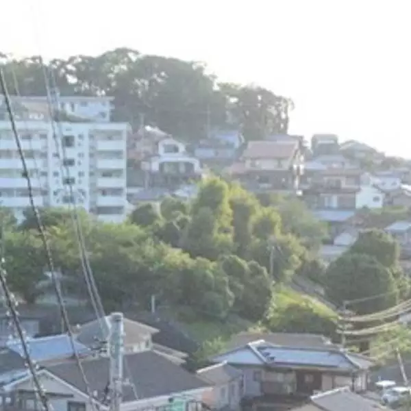 「斜面に住むほうが悪いのか」つえ手に上る階段は200段でも離れたくない