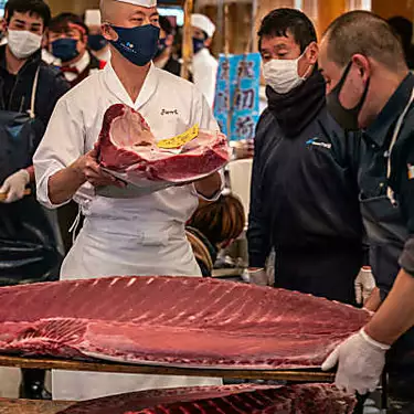 Japan tuna goes for $145,000 as pandemic dampens New Year auction